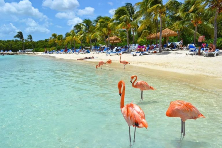🌴✨ Miami + ABC Islands Caribbean Cruise 🦩 Dream Deal Alert! ✨🌴