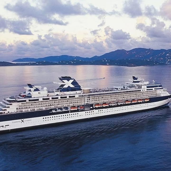 ✨✨ OFFER OF THE DAY ✨✨