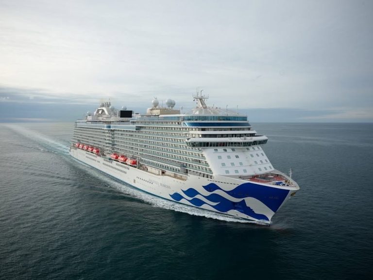 Do Bears Really Sit in the Woods? – A Thrilling Alaska Adventure