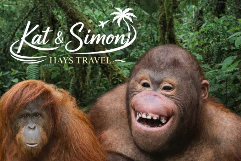 “Special Notice: Out for a Birthday Bash Today!”