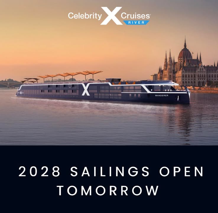 🚨 NEW • NEW • NEW 🚨