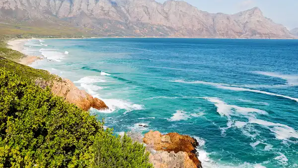 On Safari in Botswana – Premier Collection