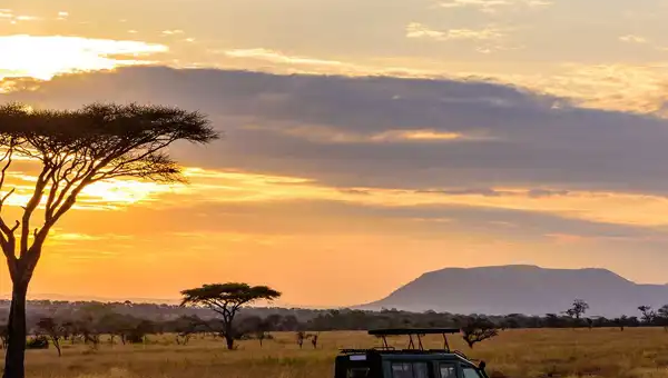 On Safari in South Africa – Luxury Safari Plains (Premier Collection)