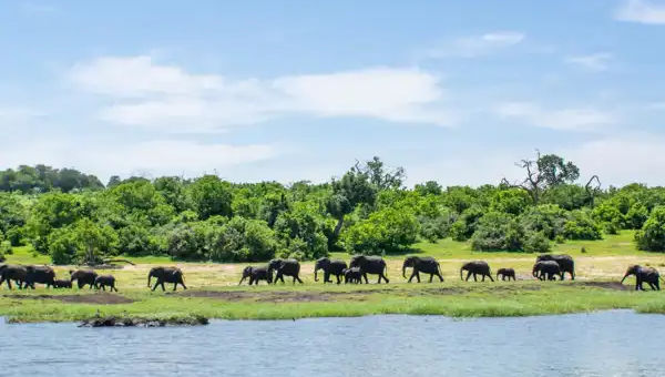 India – Tigers and the Taj Mahal