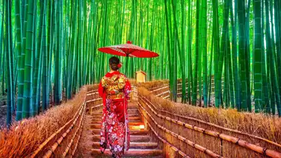 Kruger Safari & the Garden Route + 3-night Cape Town extension