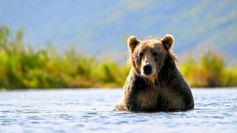 EPIC VOYAGE: Canada, Alaska, the Pacific & Japan