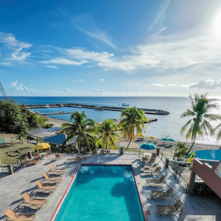 🚨 Caribbean Deal: St. Kitts from £1,199pp 🌴