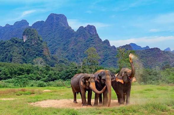 THAILAND & ELEPHANT HILLS ADVENTURE – THE ULTIMATE ESCAPE