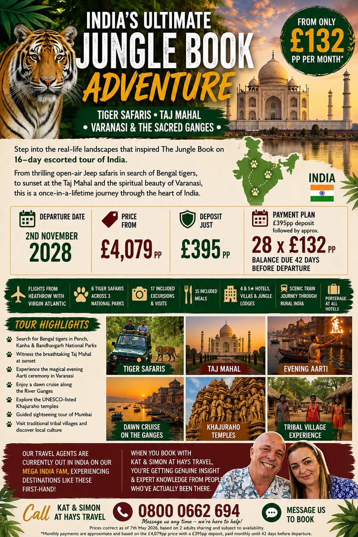 🌿🐅 India’s Ultimate Jungle Book Adventure 🐅🌿